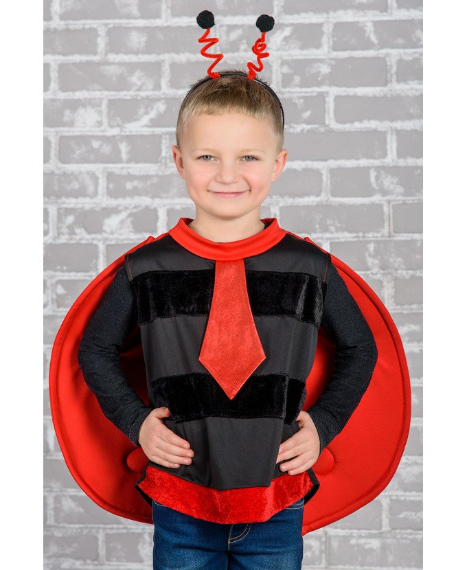 Дитячий карнавальний костюм Божа корівка для хлопчика