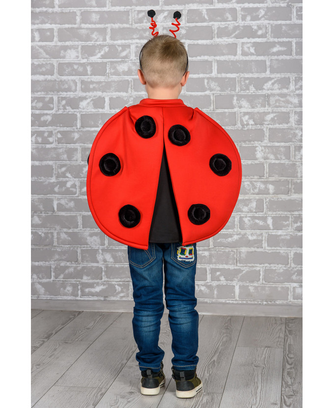 Дитячий карнавальний костюм Божа корівка для хлопчика