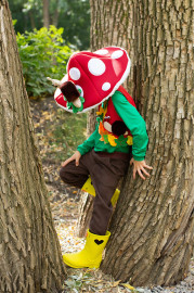 Костюм гриб Мухомор  для хлопчика