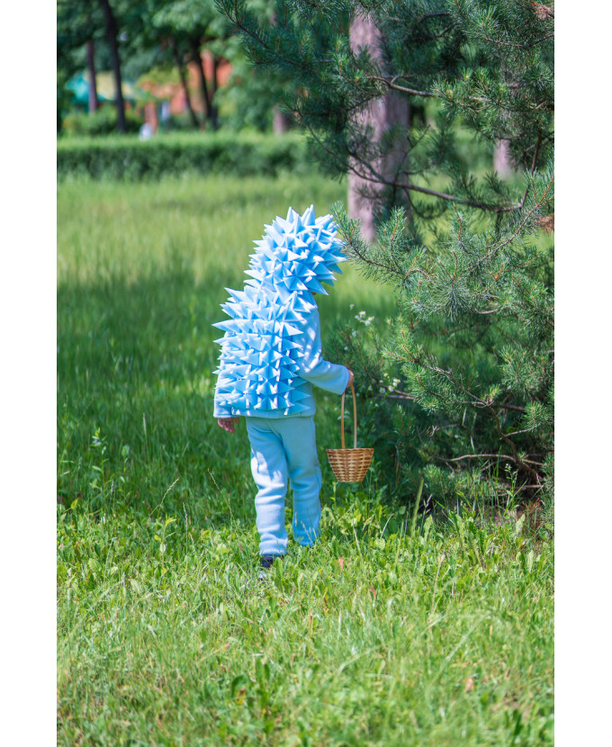 Костюм Їжачка блакитного для хлопчика