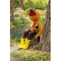 Костюм гриб Боровик для хлопчика