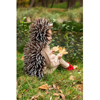 Дитячий костюм Їжачка