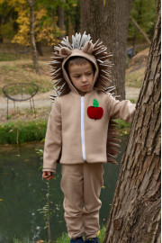 Дитячий костюм Їжачка