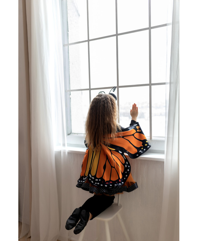 Карнавальний костюм метелика Махаон для дівчинки