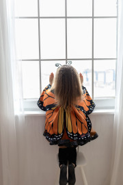 Дитячий костюм Метелик махаон для дівчинки