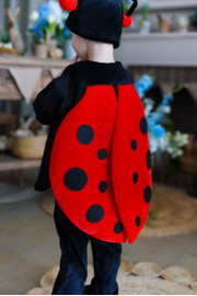 Дитячий карнавальний костюм Жук Сонечко