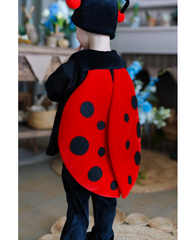 Дитячий карнавальний костюм Жук Сонечко