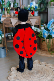 Дитячий карнавальний костюм Жук Сонечко