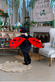 Дитячий карнавальний костюм Жук Сонечко