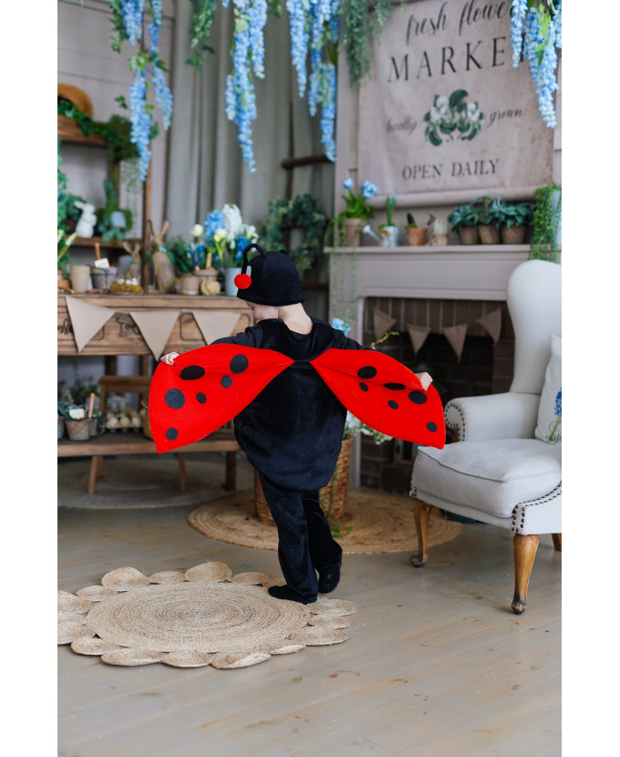 Дитячий карнавальний костюм Жук Сонечко