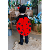 Дитячий карнавальний костюм Жук Сонечко