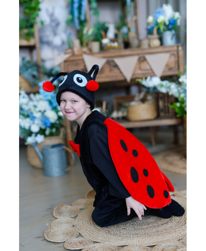 Дитячий карнавальний костюм Жук Сонечко