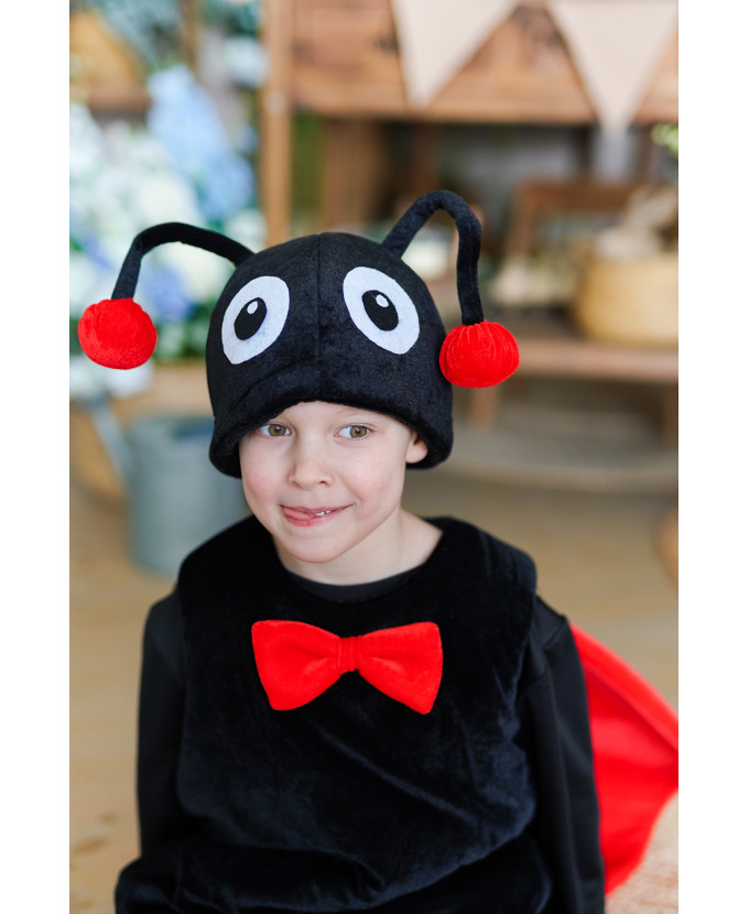 Дитячий карнавальний костюм Жук Сонечко