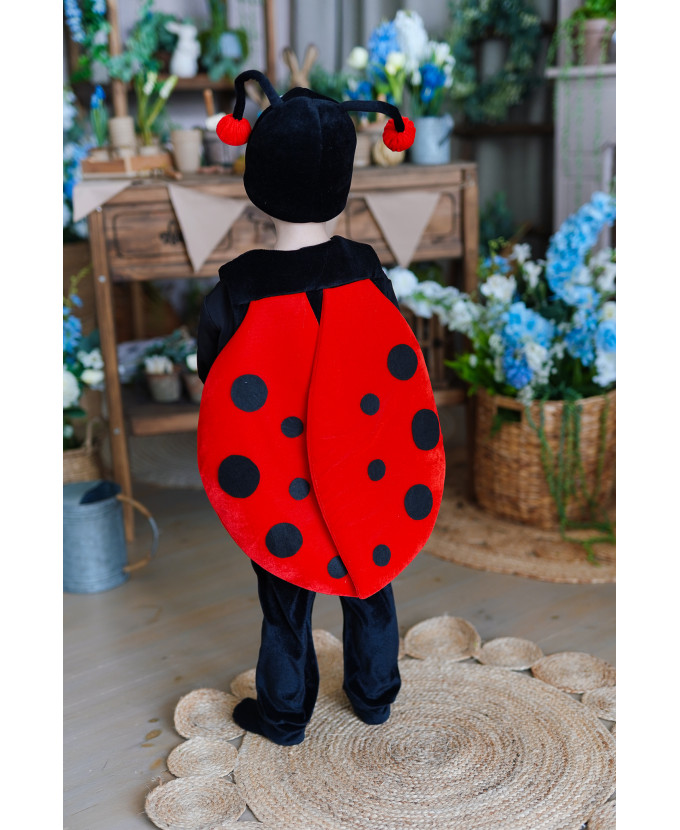 Дитячий карнавальний костюм Жук Сонечко