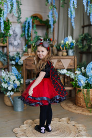 Дитячий костюм Божа корівка Жук  Сонечко