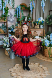 Дитячий костюм Божа корівка Жук  Сонечко