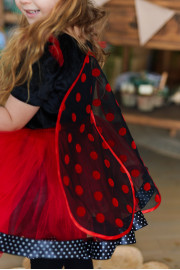 Дитячий костюм Божа корівка Жук  Сонечко