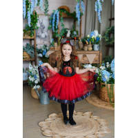 Дитячий костюм Божа корівка Жук  Сонечко