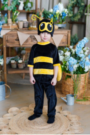 Костюм Джміль для хлопчика New